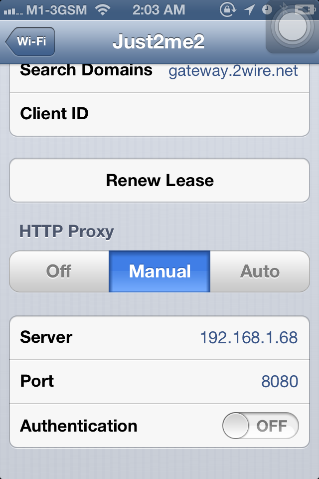 iPhone network settings